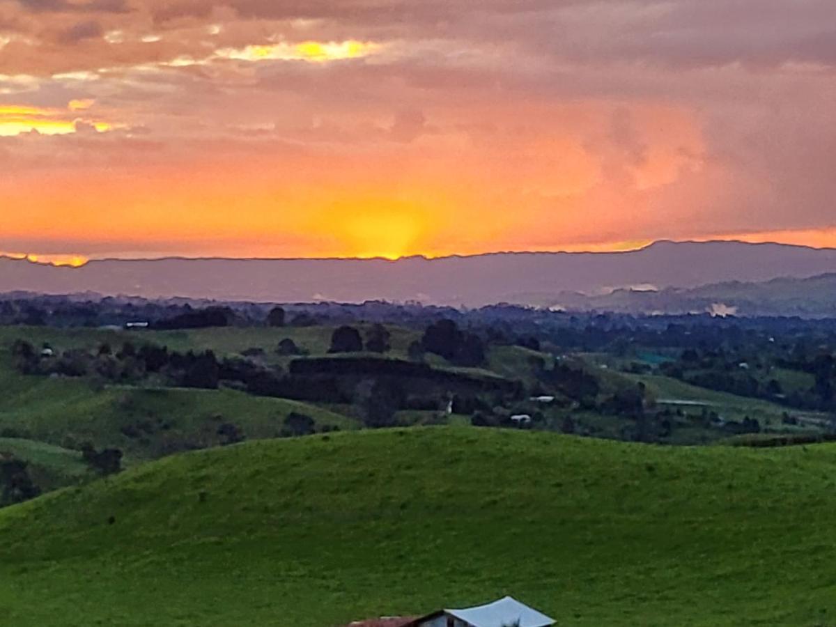Sunset Cottage Tauranga Eksteriør billede
